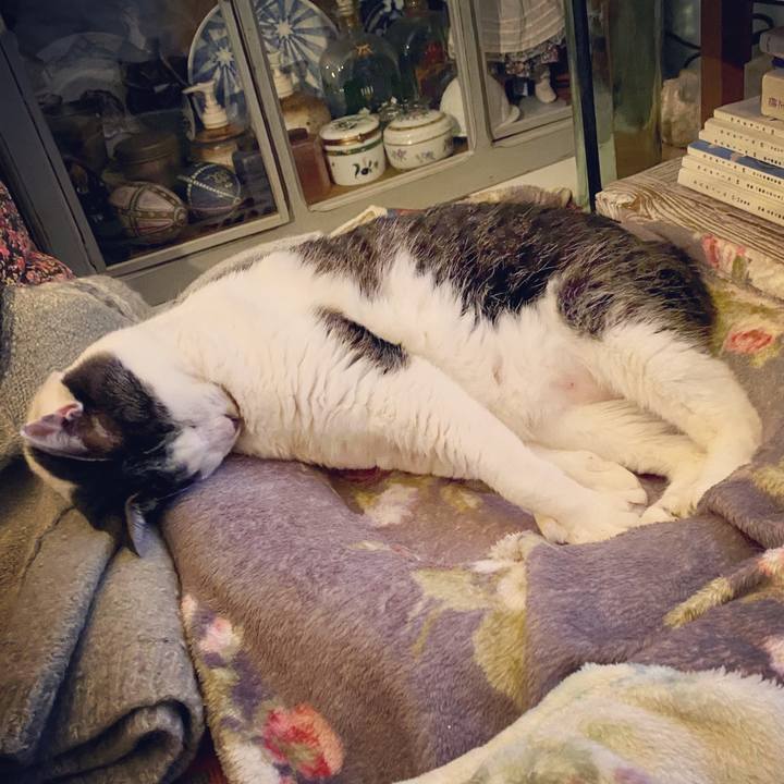 9c38bdc7 03c3 4ee5 8649 64c7d454a14f 1582902079898