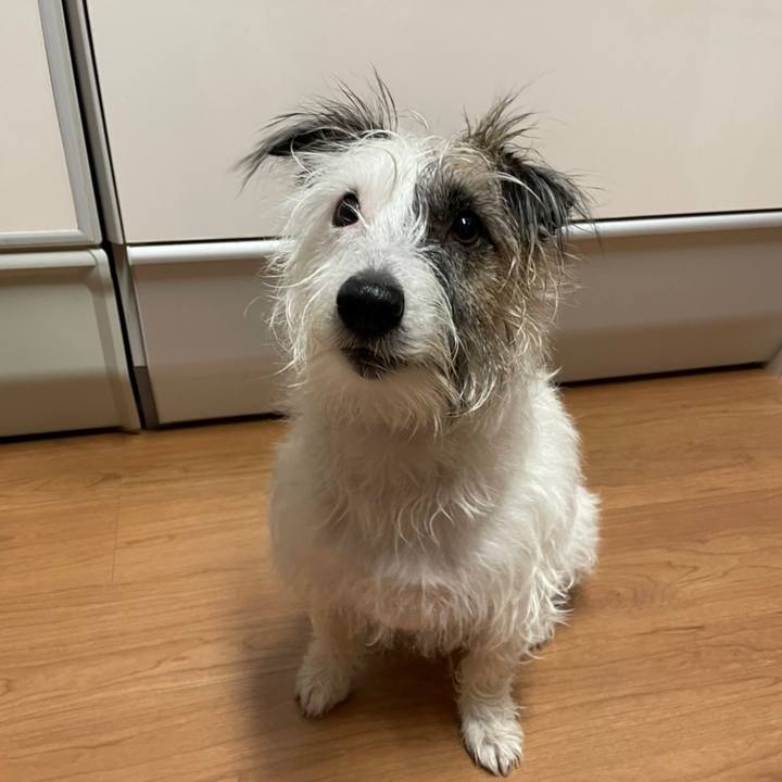 9c38c04a 6bff 4076 8413 49ff7a14c1cb 1636500482891