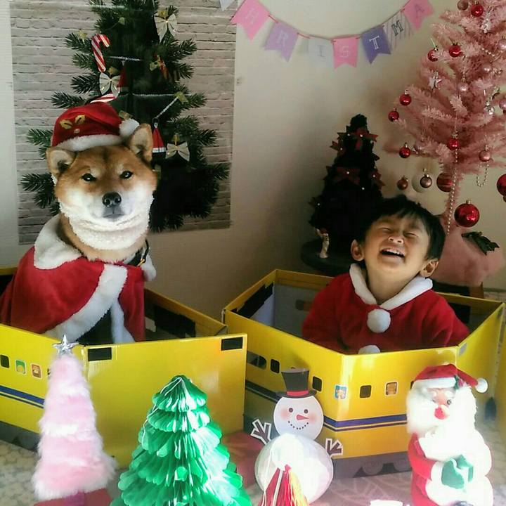 9c38e125 7261 4e7d ae85 11daeb040069 1577434307848