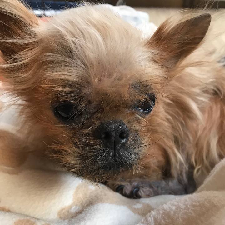 9c38eb17 b660 42b6 9f24 ab7ba97c21ca 1548288330222