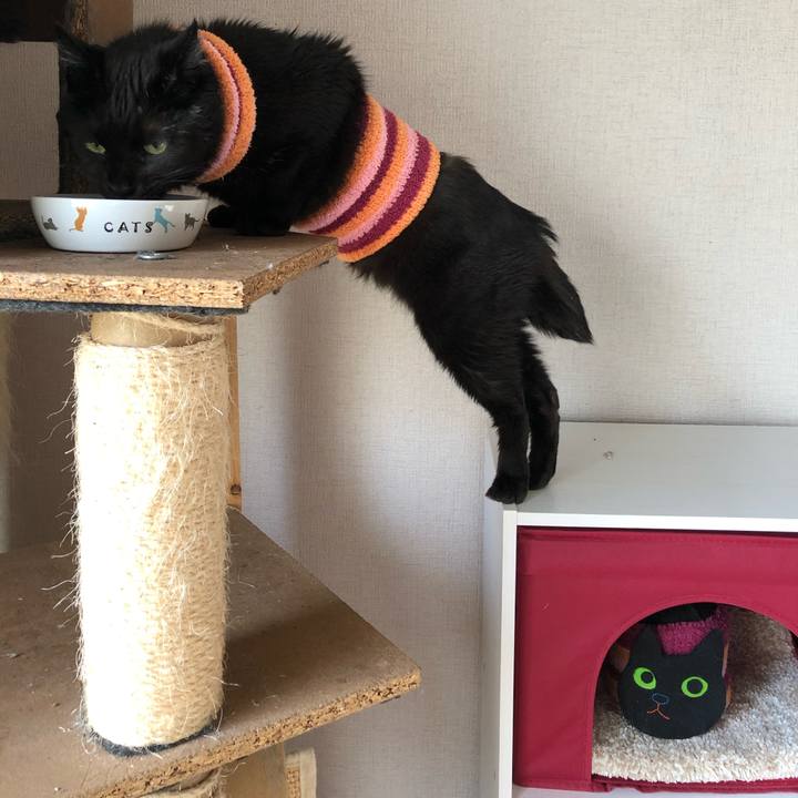 9c38f1e3 f400 4cd0 a655 9845d6235a99 1587939702758