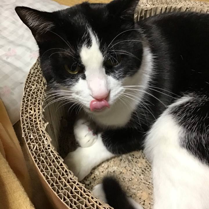 9c392642 b22b 4ca8 9659 5bad188f3401 1702725038378