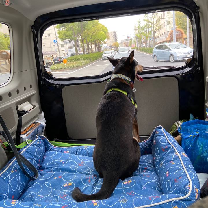 9c392755 d758 4f8b ad1c b43f7969c2d4 1617415713552