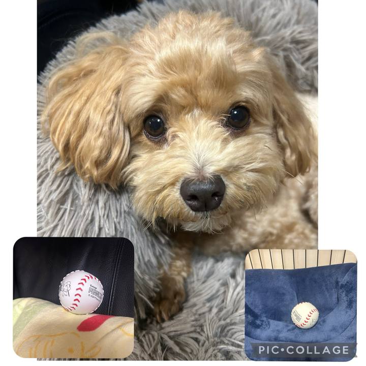 9c398343 6a63 4ba5 a012 5aac49052edd 1731150444800