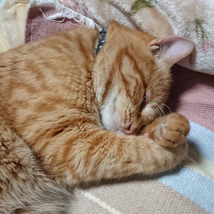 9c398b31 96e0 42fe b9da a3e7483bc361 1656752445799