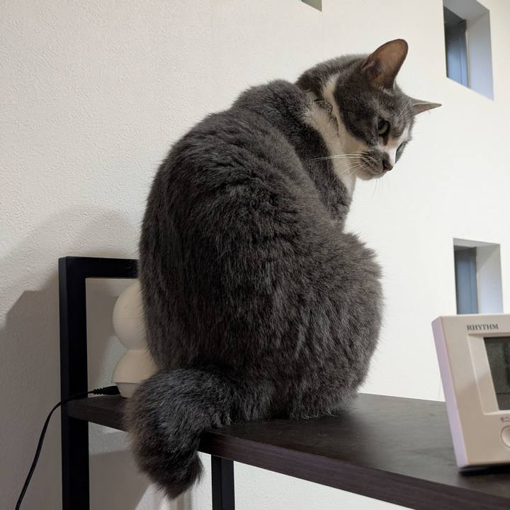 9c39b248 3911 4f88 8b9f 6a505f0af488 1749895493078