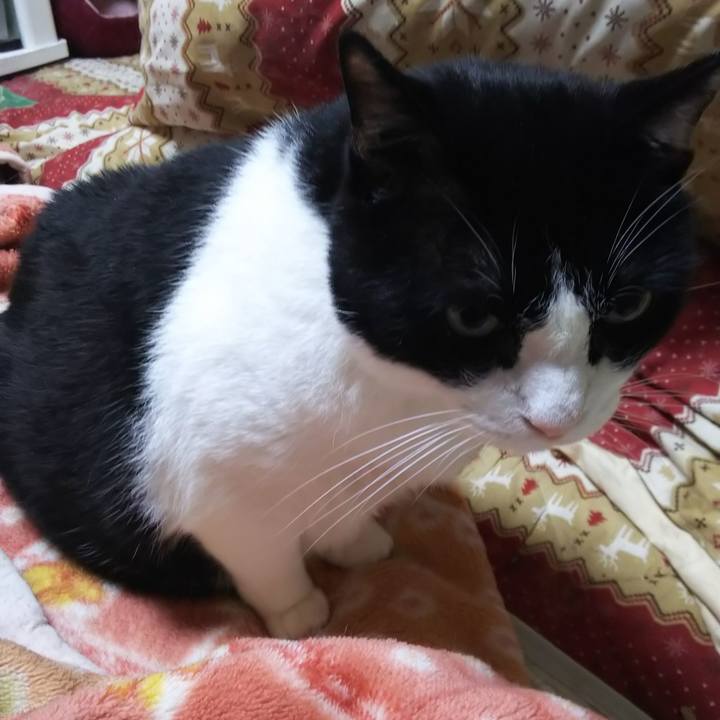 9c39f00a 474b 4eee b825 2bd394f85527 1563745801392