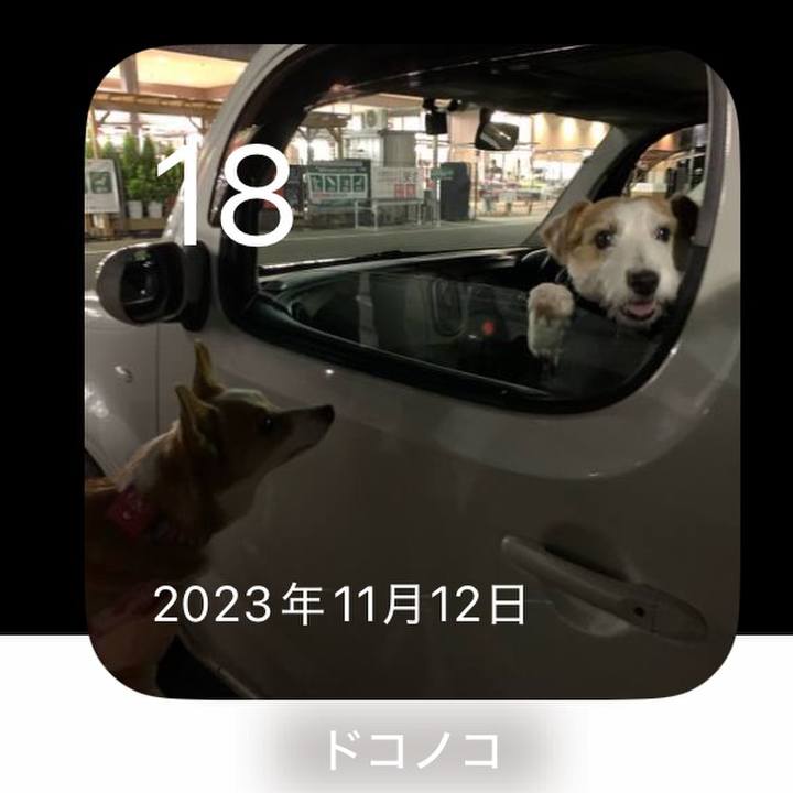 9c39fea0 f039 413f a8c3 e4d6fcd8a5cb 1763427464795