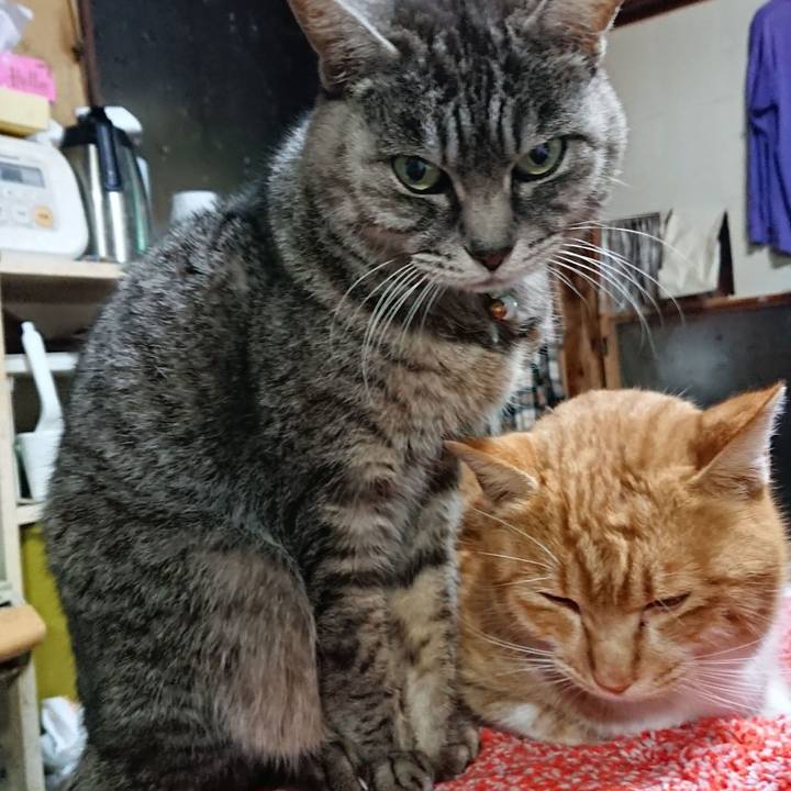 9c3a109a 3e8e 4641 bcfd ab2952e14833 1608582313598