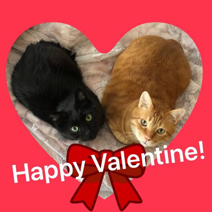 9c3a13ea 1e1d 4e37 a4d9 9d587d2b687e 1644833364459