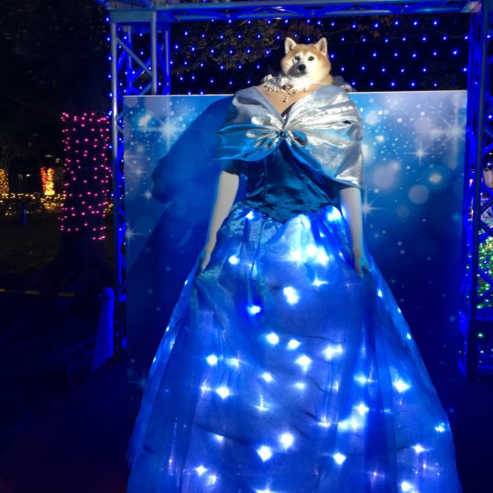 9c3a58ac 1930 4042 9e1b 6a63ee13dd2c 1545134778937