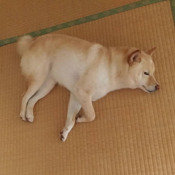 9c3aeefa a038 4f3d 98df f78a2186a70f 1589161662817