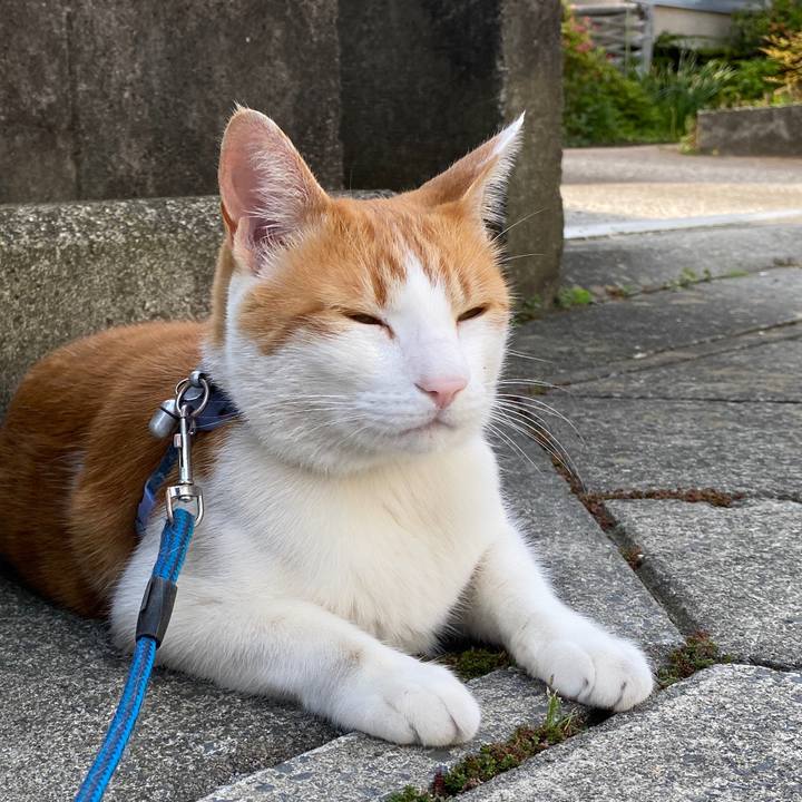 9c3b3edc ed2e 49b9 bdd7 1c7dff7a5904 1588431499903