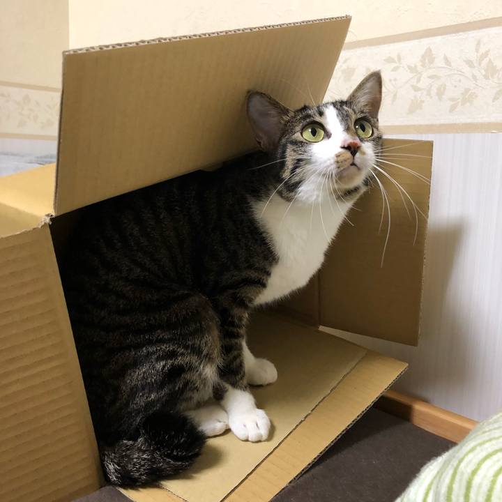 9c3b6873 c2c4 405d a264 fa76523b3de1 1516332797783