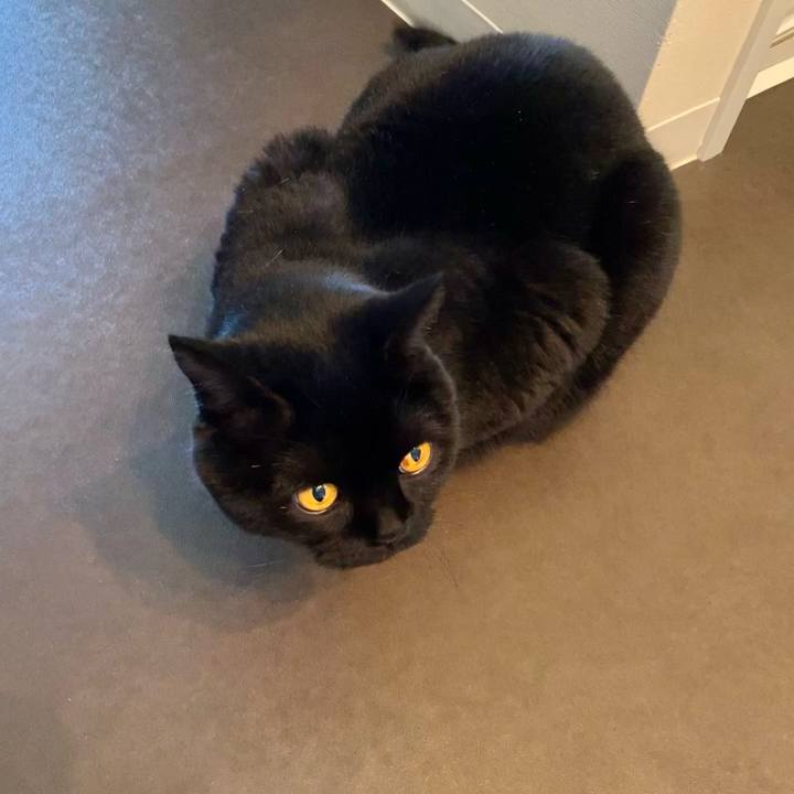 9c3b9d97 75a2 4df7 83d8 3fec50eaf359 1614732279525