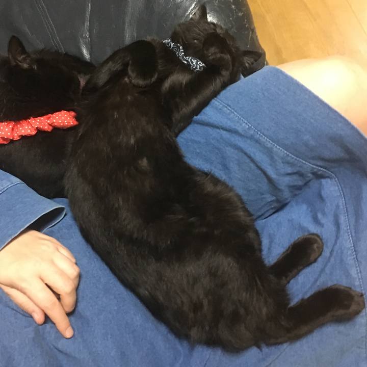 9c3ba374 16ce 47e1 9e53 dbd8d745e5b5 1537360177717