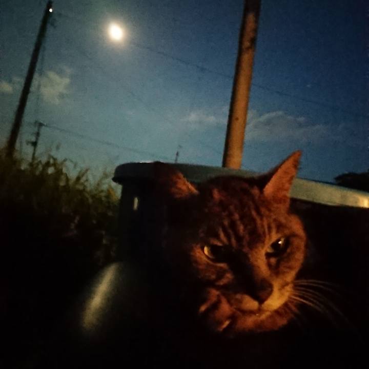 9c3bd580 890c 454e 8e21 204e4417393c 1598611638390