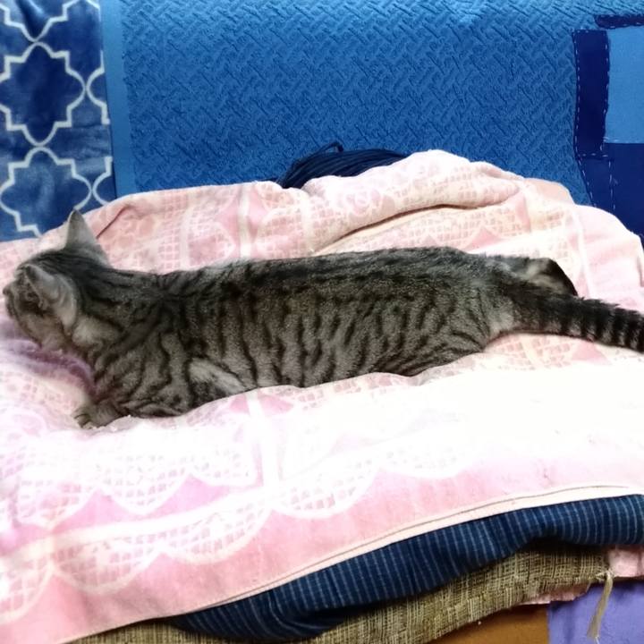 9c3bea30 5f1d 4910 9057 4b6c1e3348ff 1664869344057