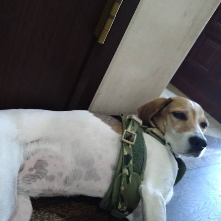 9c3bf874 587b 454f 9794 b90697711bee 1665902711222