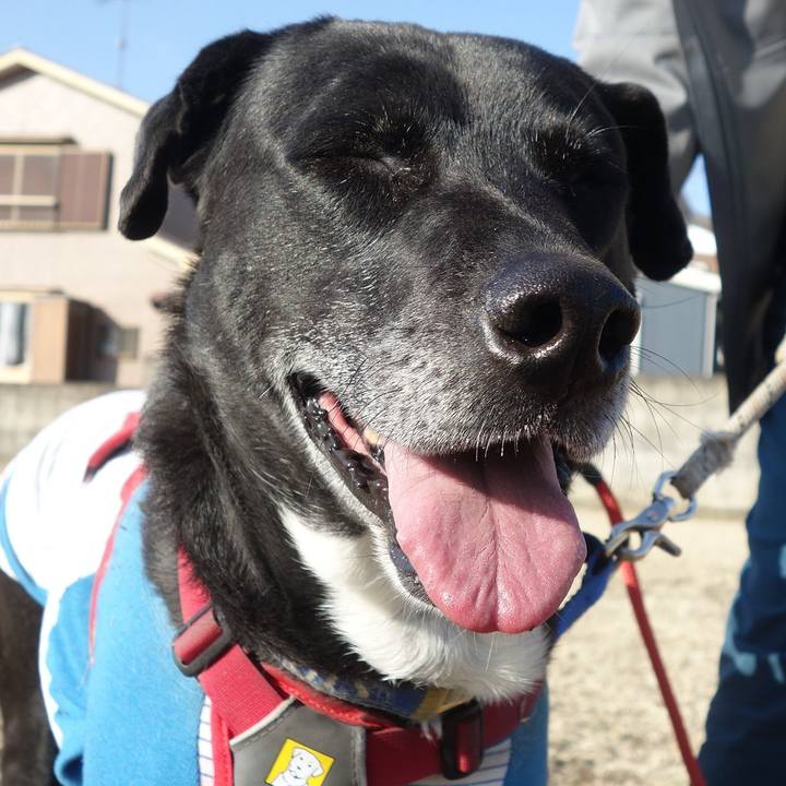 9c3c0dc7 0676 4b65 acef 337237366186 1677890920021