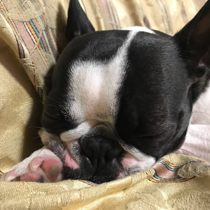 9c3c2153 2aad 42a6 83d8 5ee3fafd6352 1551009712471