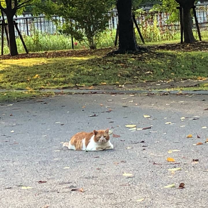 9c3c92eb 15aa 4bd9 a780 e7bd9f39d013 1599092076672