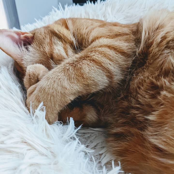 9c3c971a 9830 4c3a bf61 9aa237bcff94 1653799734088