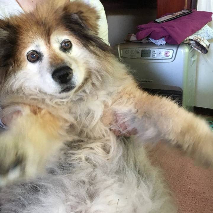 9c3cea83 fb13 4573 a2ad e24dd280a1b0 1560136145033