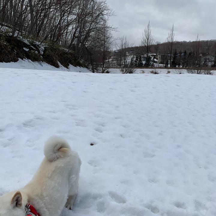 9c3d0892 57b3 4c7a 9498 572fbf28b867 1585359649360