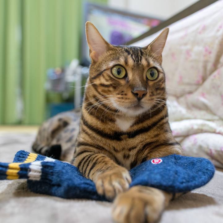 9c3d1ed1 1549 4128 ad3a f2abb66ea03b 1519829881771