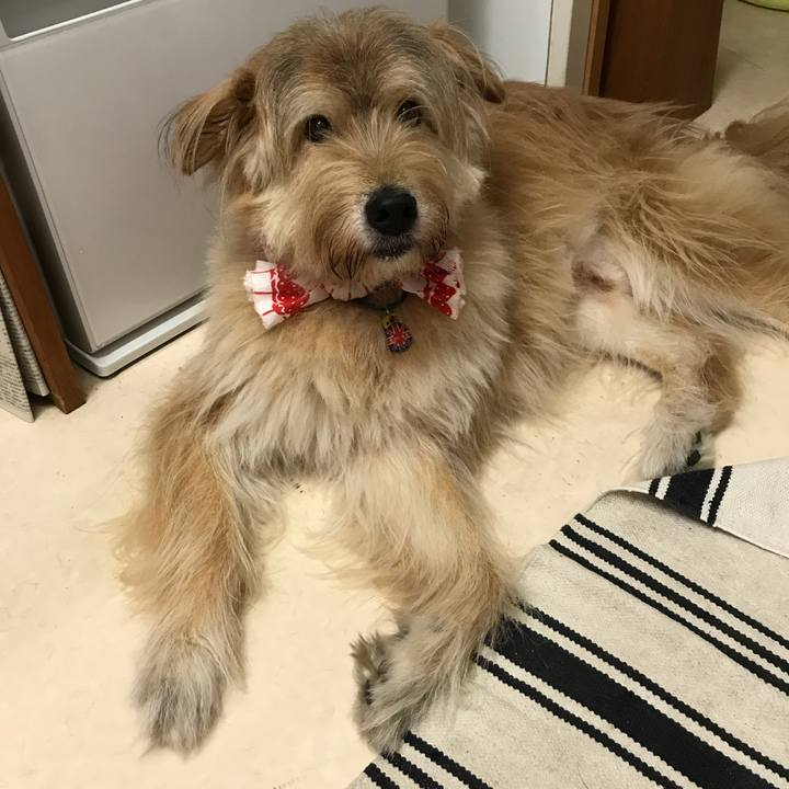 9c3d37d1 caf2 4e13 a77e d24584380a56 1564022251898