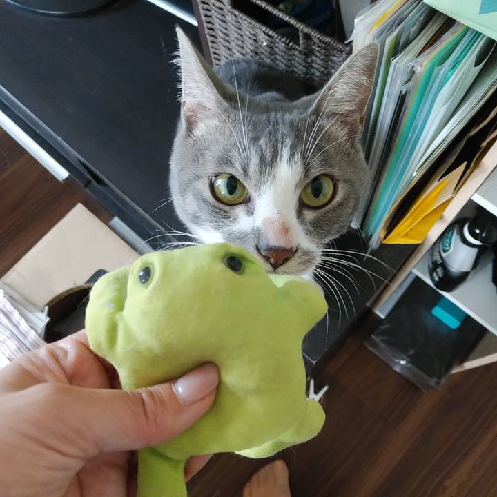 9c3d3d92 8314 4001 9b06 e52793d5d292 1595122321189