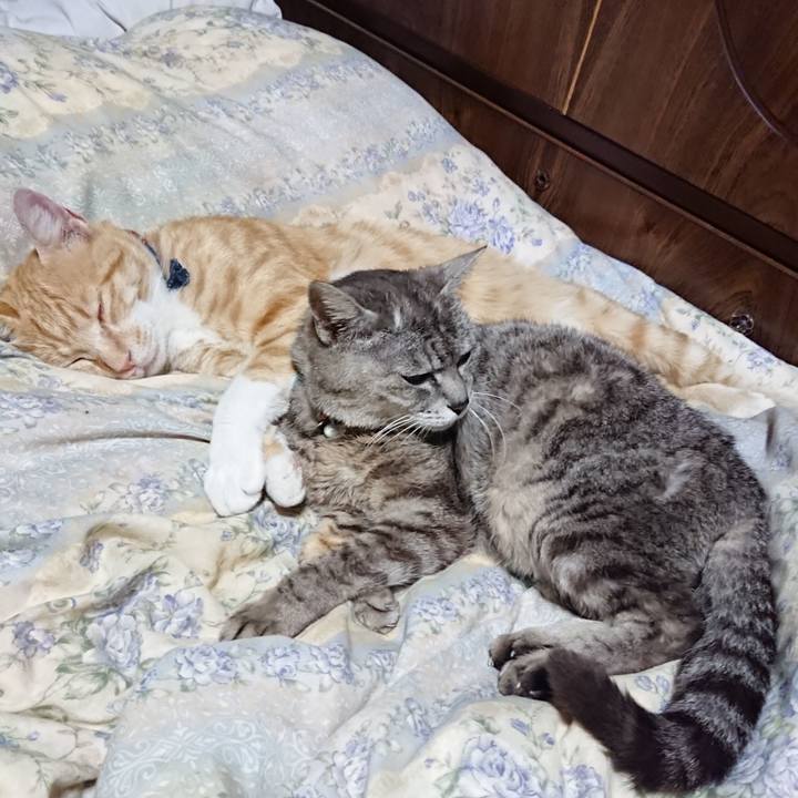 9c3d4fe9 6ac6 4d97 980d 05d9530d867e 1562936930274