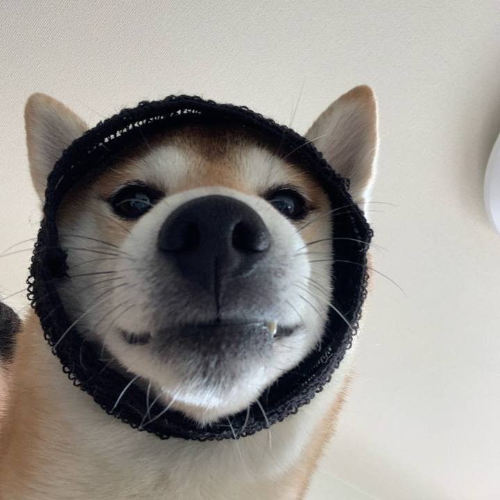 9c3d864b 4bf9 4dec 875f abe42739bb04 1580732328468