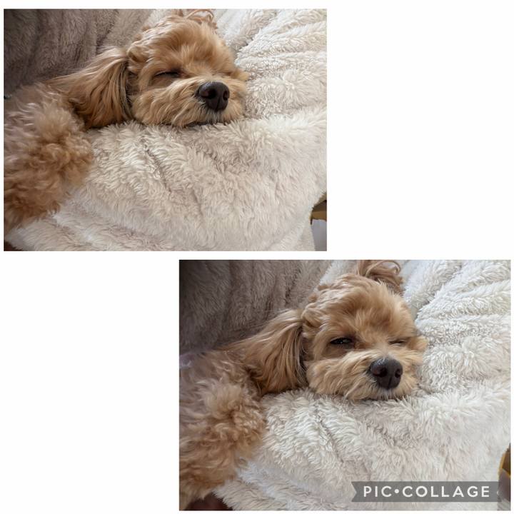 9c3dadfa 9002 4f25 a437 15680f2390d7 1768699008576