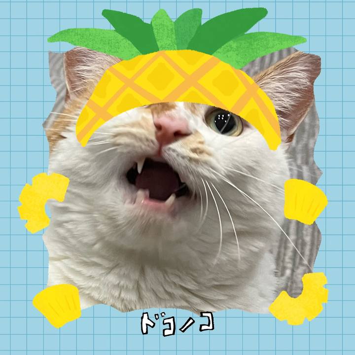 9c3dbb25 f425 4f0e 89bd 4ad450e53767 1783519884587
