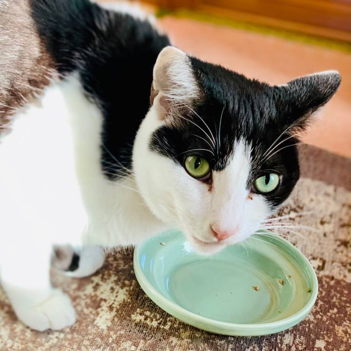 9c3dca1c 74f3 4f53 af33 fbe415d943fe 1608085073392