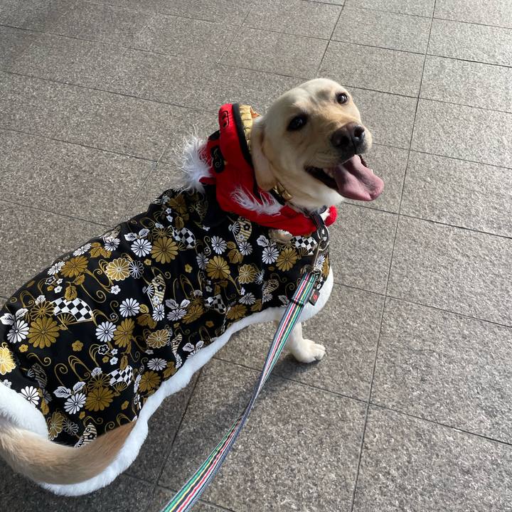 9c3dcd06 1167 4db2 bc06 099326ee4d7e 1675924859615