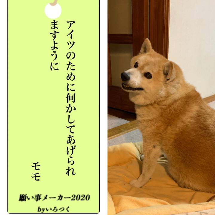 9c3dd3ba 1ff2 4ff2 80be 59878afce589 1594128110749