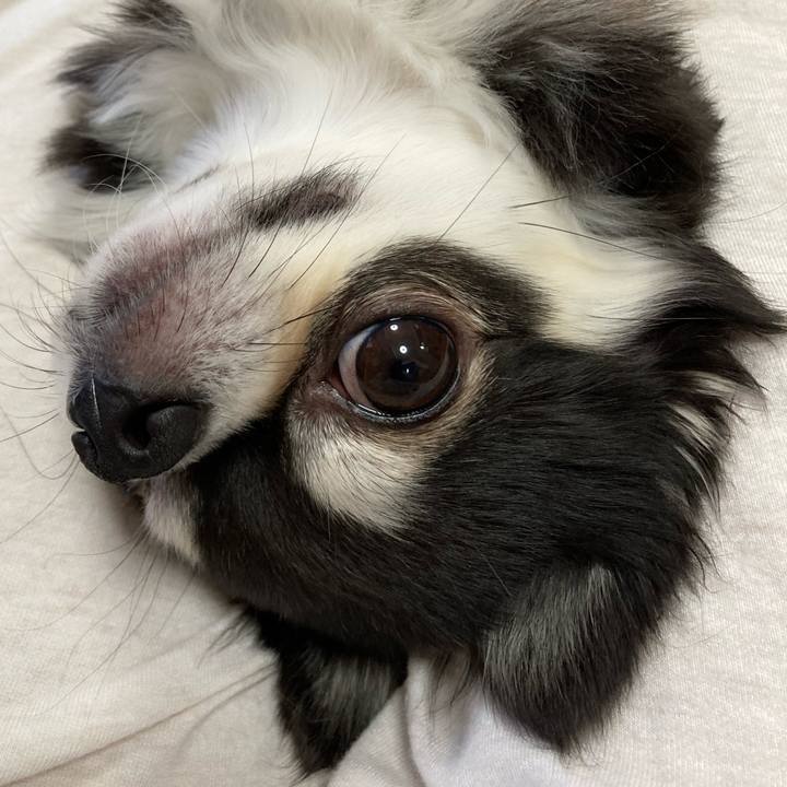 9c3de62a ec60 413c 81aa 2ebbd5e2d98a 1673103977842