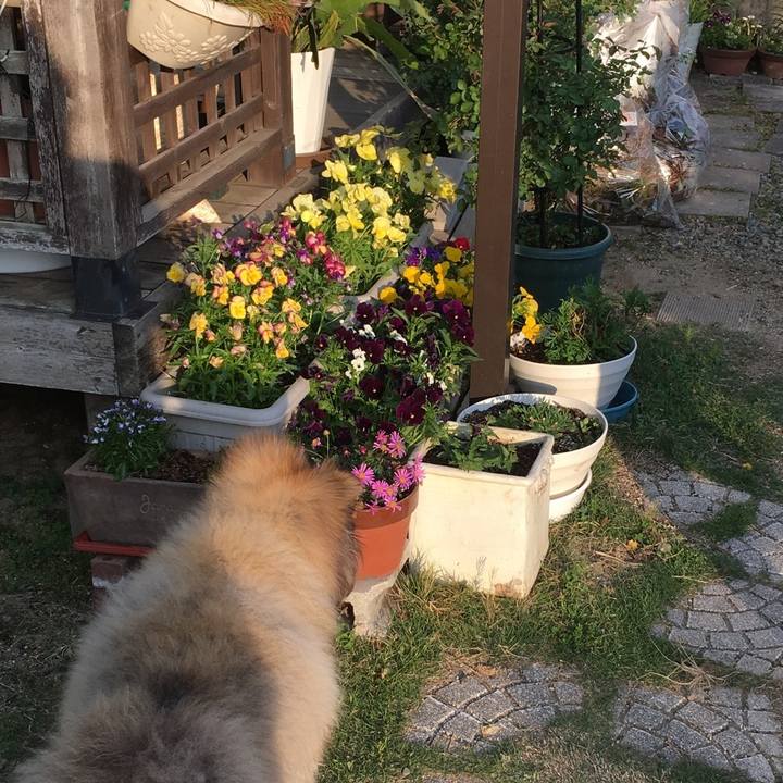 9c3df37a 273d 4730 8d58 abeccfc7b0f6 1609091090713