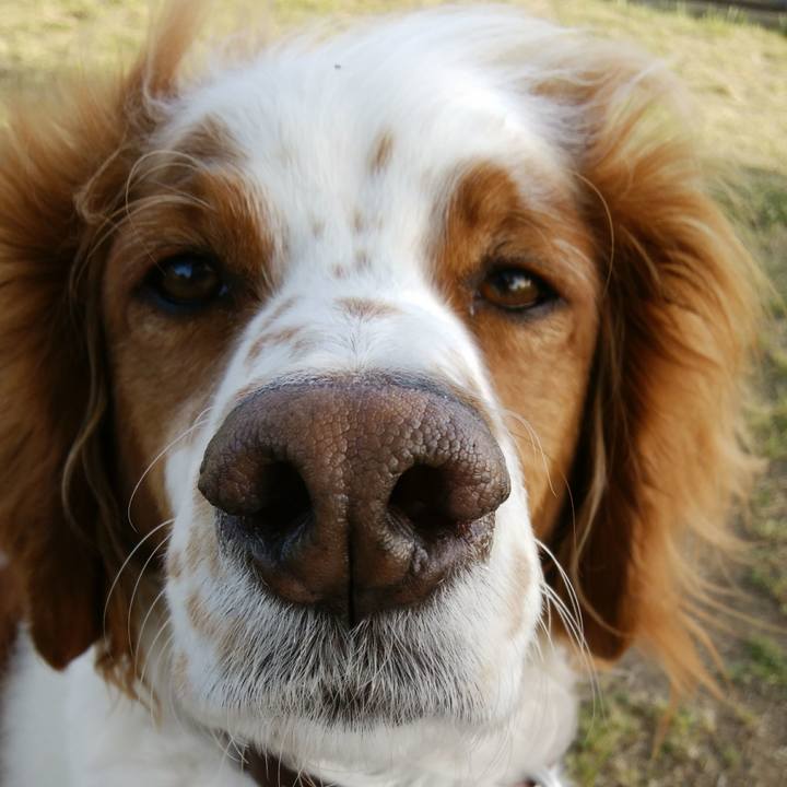 9c3df3de 3b16 4bee 8709 7695435a7e2a 1523619551121