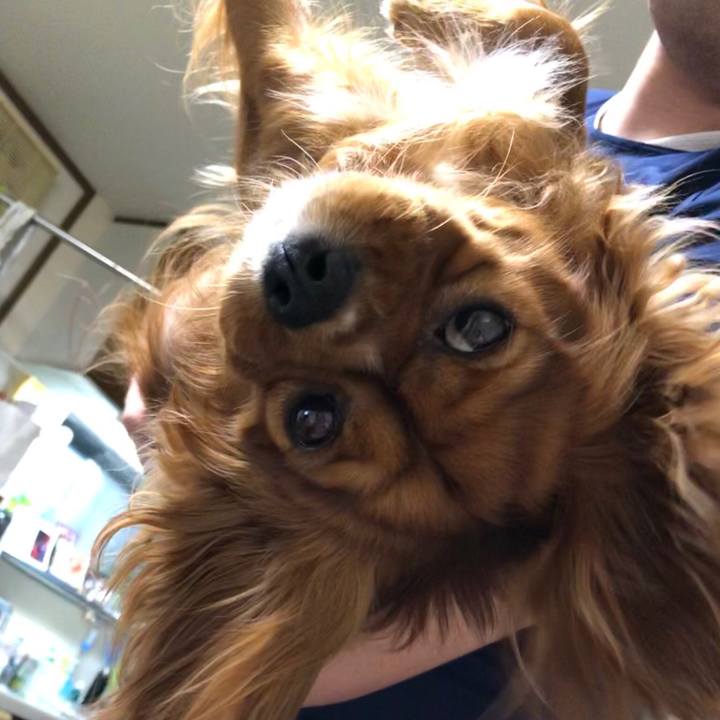 9c3df6f2 eada 487b 8df7 7261c8aa2d37 1558132944741