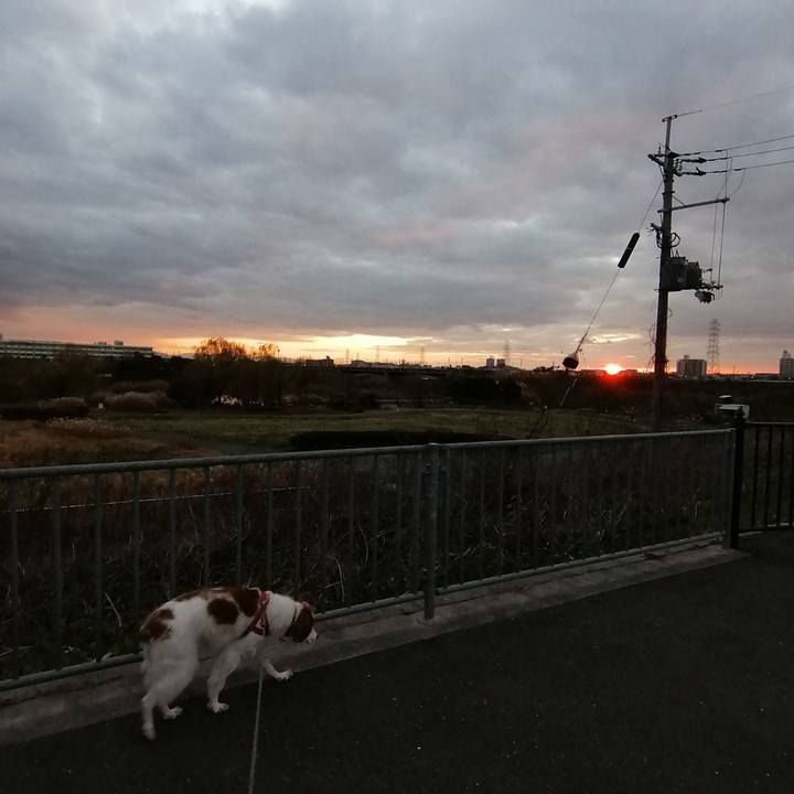 9c3e0dfb 0d48 4cb8 bfe4 6b0cc8bb8c34 1577529517023