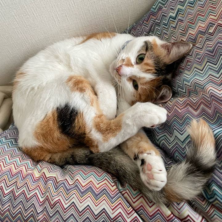 9c3e18b9 104a 45af 8d86 789fbd5eb89e 1692657199467