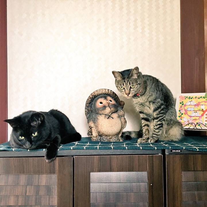 9c3e27a1 5142 400e 9f08 99880d985b04 1529107194442