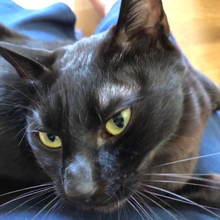 9c3e297e 46cd 4641 962a fc4139707dfb 1718409660323