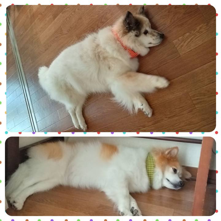 9c3e4505 b6a4 42b3 8fae 6ca0d5957e1c 1689597831305