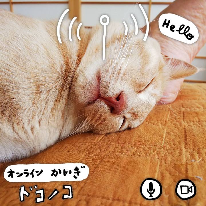 9c3e48fc 1fc9 461e b36f d9459a592845 1590885032511