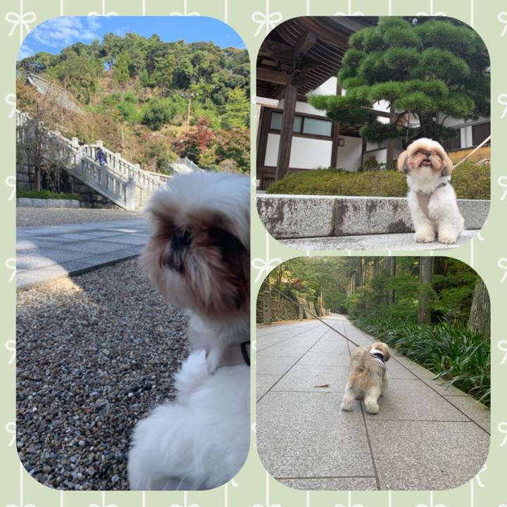 9c3e5bb0 34c0 44bc 9dce 831d2da51a28 1604808827287